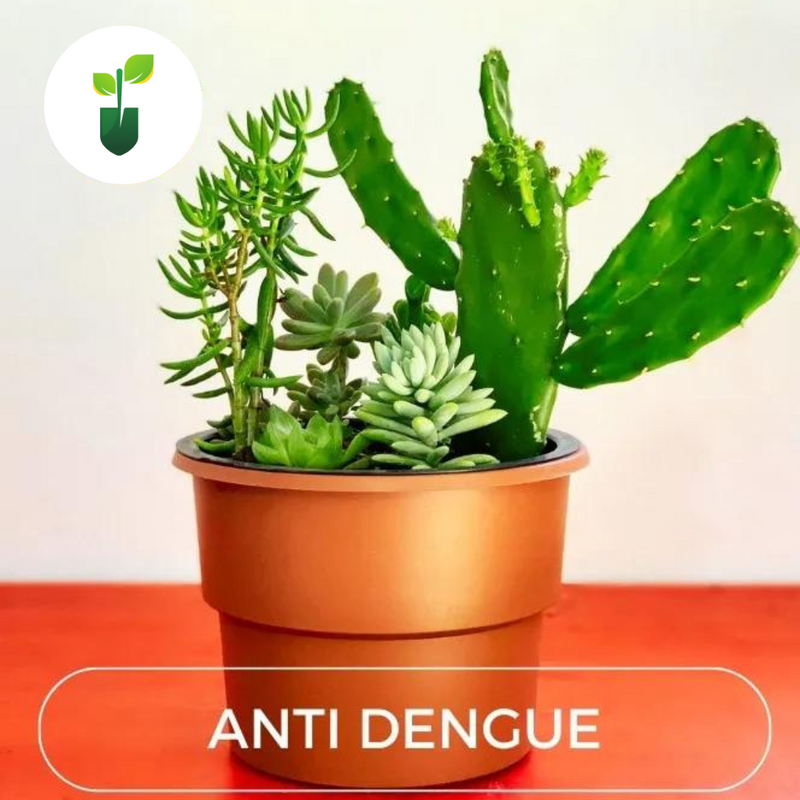 Vaso Autoirrigável Antidengue para Hortas/Flores 20cm