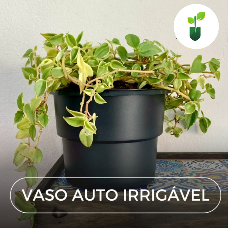 Vaso Autoirrigável Antidengue para Hortas/Flores 20cm